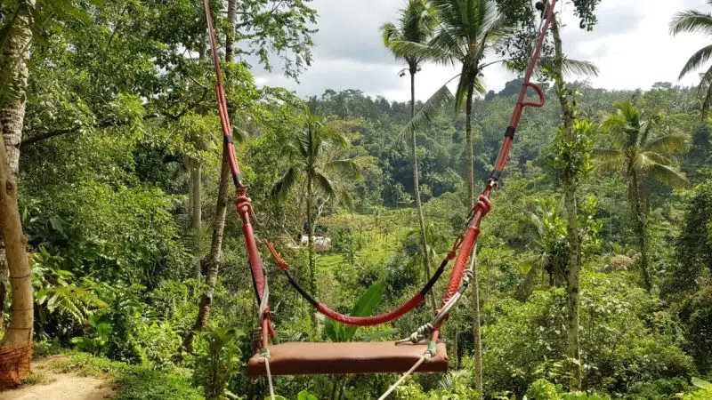 Aloha Ubud Swing Pengalaman Mengayuh di Udara dengan Pemandangan Mengagumkan di Bali